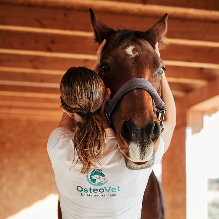 Anwendungsgebiete Pferd