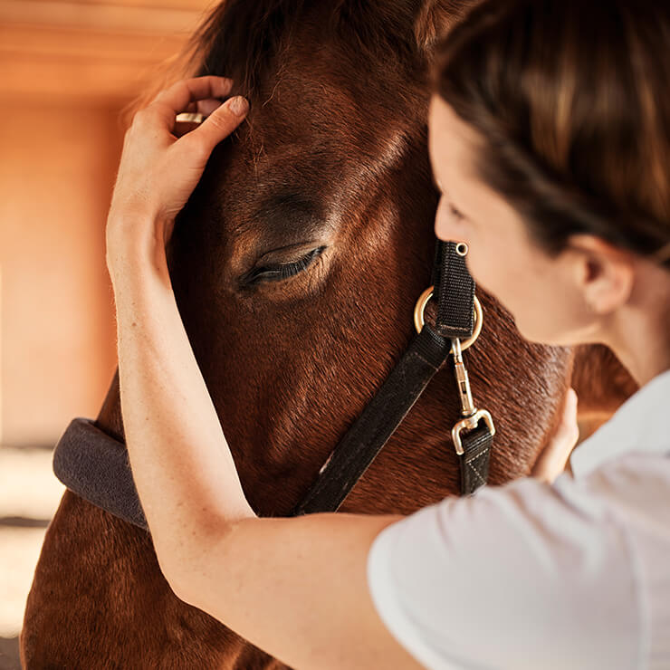 Osteopathie Tastsinn