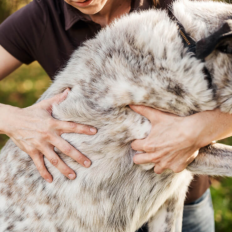 Osteopathie Beweglichkeit