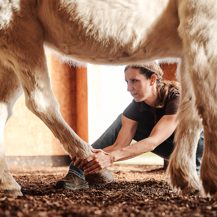 Osteopathie Selbstheilung