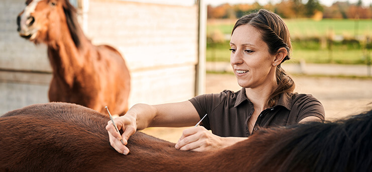 Über mich Osteopathie